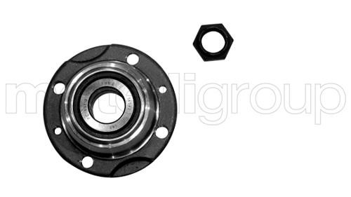 Cifam 619-2989 Wheel bearing kit 6192989