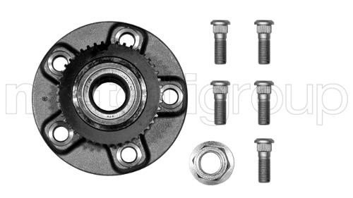Cifam 619-7857 Wheel bearing kit 6197857