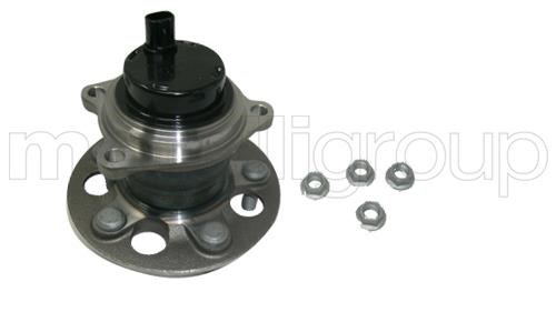 Cifam 619-7889 Wheel bearing kit 6197889