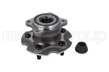 Cifam 619-8174 Wheel bearing kit 6198174