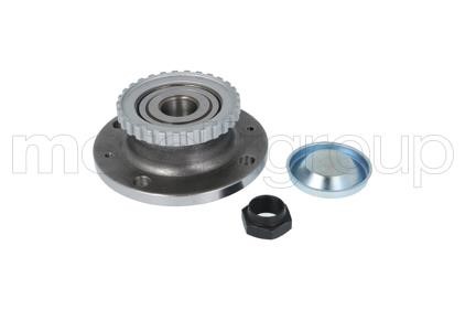 Cifam 619-8192 Wheel bearing kit 6198192