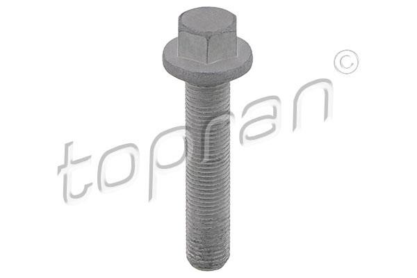 Topran 503 133 BOLT,LOCK-FLYWHEEL 503133