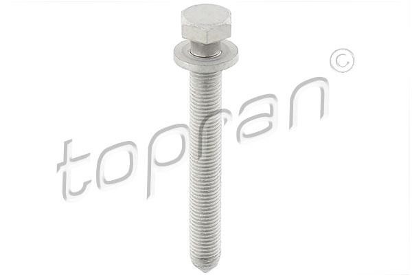 116950 Topran Bolt