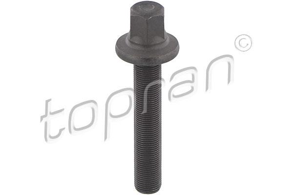 Topran 503 131 BOLT,LOCK-FLYWHEEL 503131 503131 Topran BOLT,LOCK-FLYWHEEL