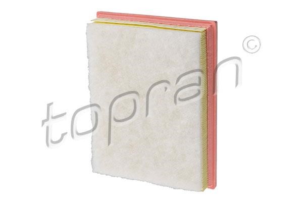 Topran 620 872 Air Filter 620872