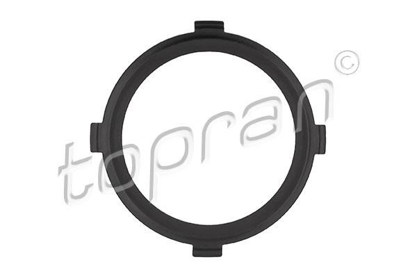 Topran 118 409 Turbine gasket 118409