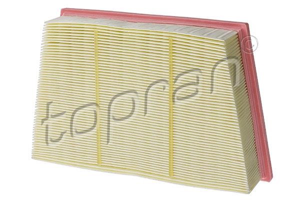 Topran 620 875 Air Filter 620875