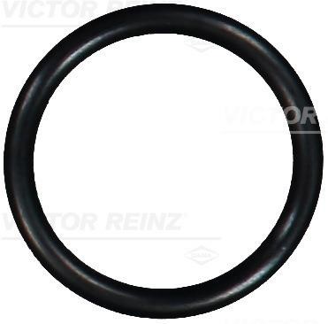 Victor Reinz 40-76587-00 Ring sealing 407658700
