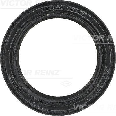 Victor Reinz 81-33489-00 Camshaft oil seal 813348900