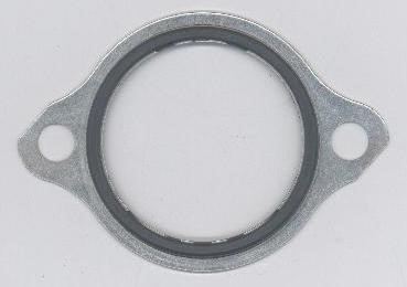 146570 Elring Termostat gasket