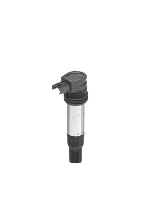ZSE229 Beru Ignition coil