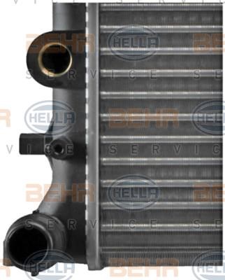 Hella 8MK 376 713-781 Radiator, engine cooling 8MK376713781