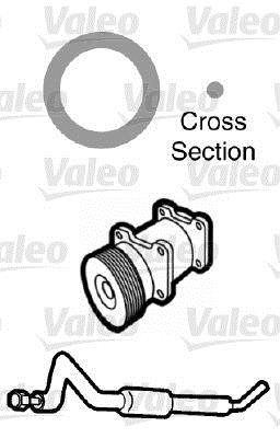 509746 Valeo Seal, coolant tube