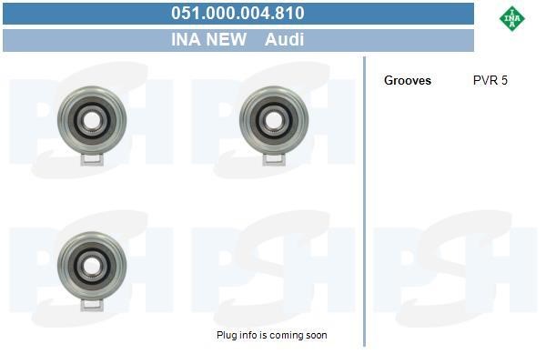 051000004810 BV PSH Belt pulley generator