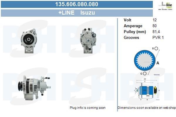 Alternator Isuzu D-Max: 135606080080 BV PSH Alternator