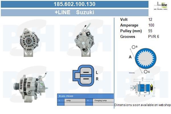 Alternator Suzuki: 185602100130 BV PSH Alternator