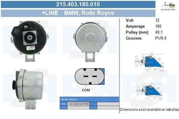 215403180010 BV PSH Alternator