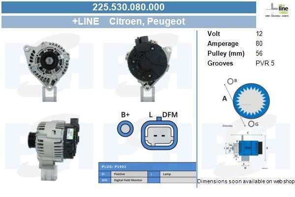 BV PSH 225.530.080.000 Alternator 225530080000