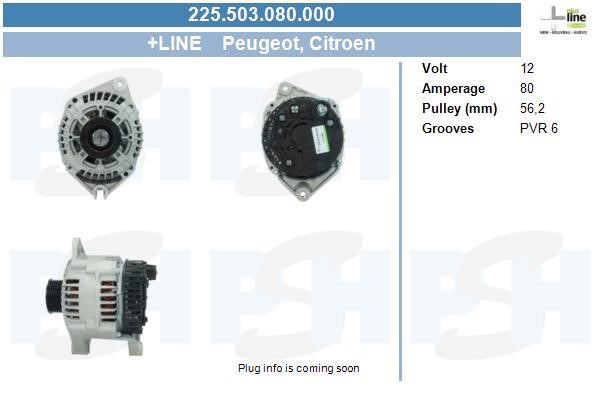 BV PSH 225.503.080.000 Alternator 225503080000