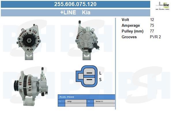Alternator KIA K2500 (Kia K2500): 255606075120 BV PSH Alternator