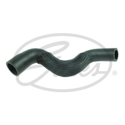 Gates Pipe branch – price 20 PLN
