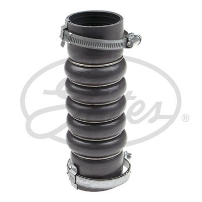 Turbo hose Ford: 090937 Gates Intercooler pipe