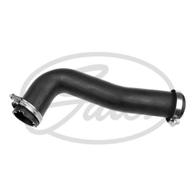 Intercooler hose pipe Ford Transit: 091177 Gates Intercooler pipe