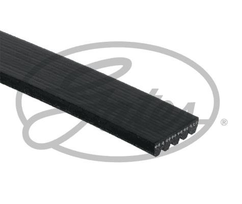Buy Gates 5PK1794 at a low price in United Arab Emirates!
