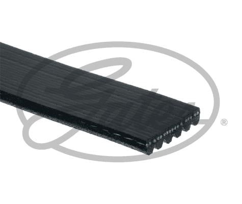 Buy Gates 6PK923EST at a low price in United Arab Emirates!