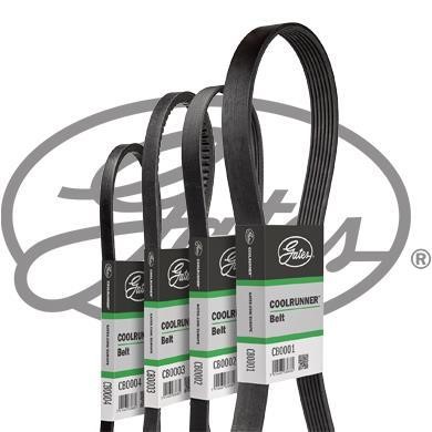 Gates CB0005 Poly-V belt CB0005 CB0005 Gates Poly-V belt