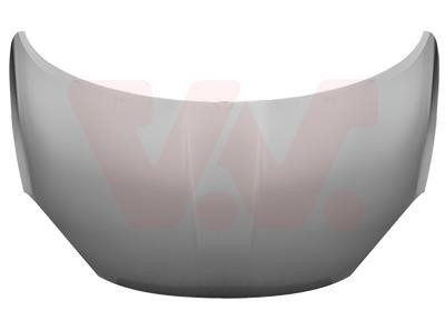 Bonnet Fiat 500: 1704660 Van Wezel Hood
