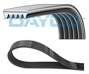 Dayco 5PK1695 V-ribbed belt 5PK1695 5PK1695
