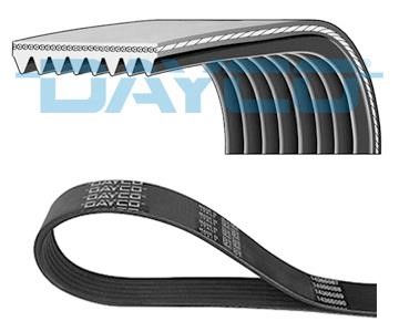 Dayco 8PK1555HD V-ribbed belt 8PK1555 8PK1555HD