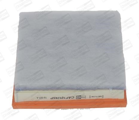 Champion CAF101245P Air filter CAF101245P