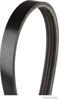 Jakoparts J1040806 V-Ribbed Belt J1040806