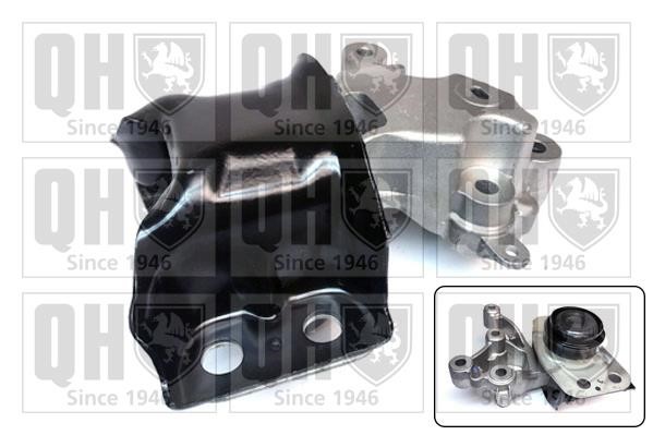 Quinton Hazell EM4881 Engine mount EM4881