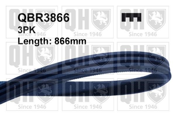 Quinton Hazell QBR3866 V-Ribbed Belt QBR3866