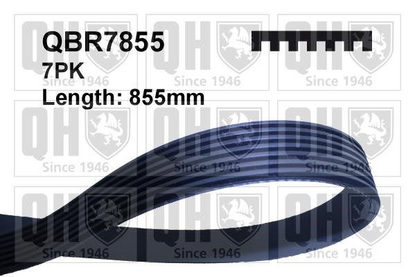 Quinton Hazell QBR7855 V-ribbed belt 7PK855 QBR7855