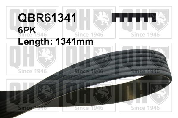 Quinton Hazell QBR61341 V-ribbed belt 6PK1341 QBR61341
