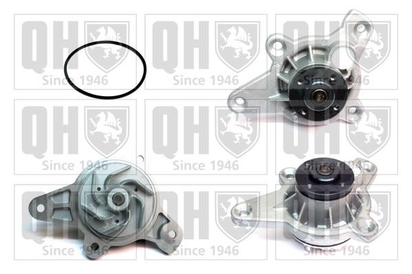Quinton Hazell QCP3769 Water pump QCP3769