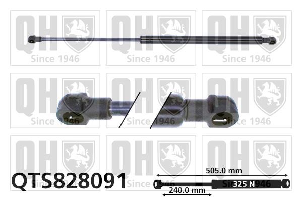 Quinton Hazell QTS828091 Gas Spring, boot-/cargo area QTS828091
