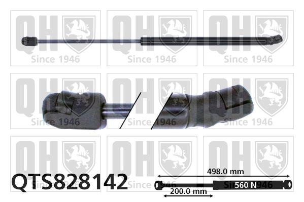 Quinton Hazell QTS828142 Gas Spring, boot-/cargo area QTS828142