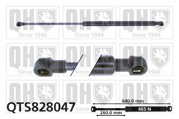 Quinton Hazell QTS828047 Gas Spring, boot-/cargo area QTS828047