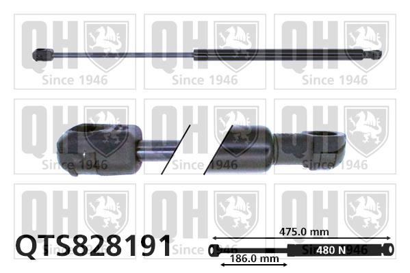 Quinton Hazell QTS828191 Gas Spring, boot-/cargo area QTS828191