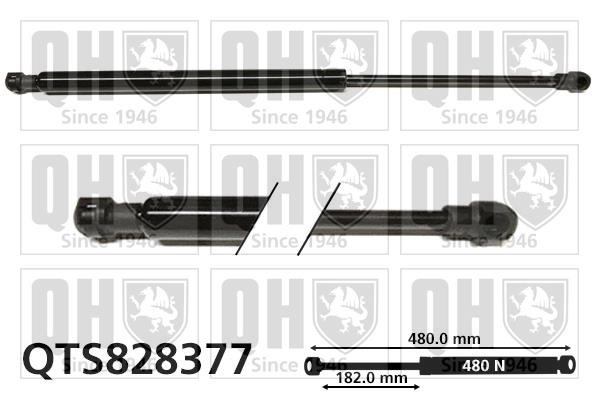 Quinton Hazell QTS828377 Gas Spring, boot-/cargo area QTS828377