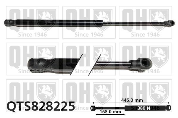 Quinton Hazell QTS828225 Gas Spring, boot-/cargo area QTS828225