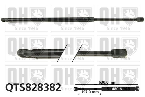 Quinton Hazell QTS828382 Gas Spring, boot-/cargo area QTS828382