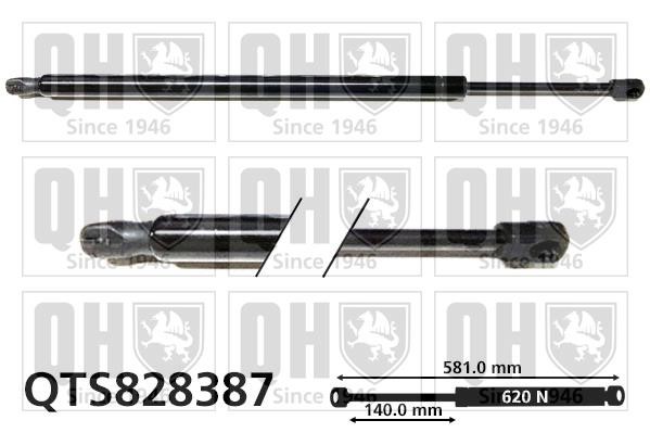 Quinton Hazell QTS828387 Gas Spring, boot-/cargo area QTS828387