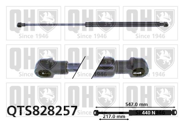 Quinton Hazell QTS828257 Gas Spring, boot-/cargo area QTS828257