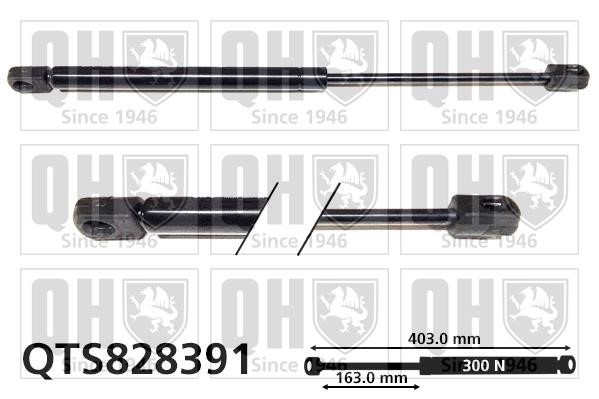 Quinton Hazell QTS828391 Gas Spring, boot-/cargo area QTS828391